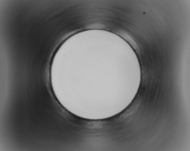 X0000092021000200710041040