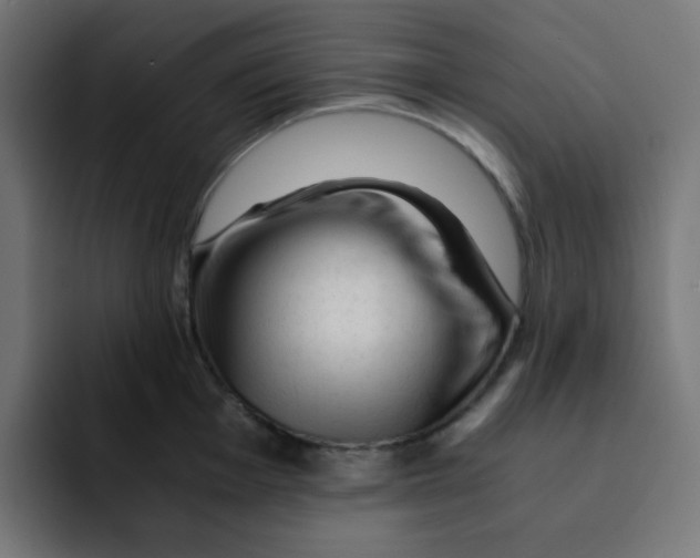 X0000092021001200710041040