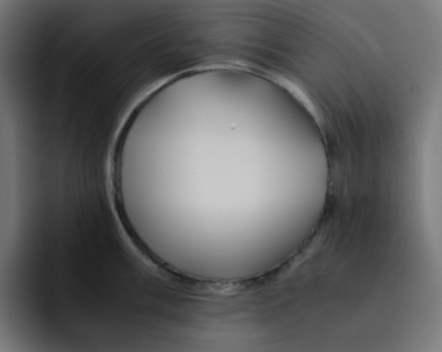 X0000092021003200710041040