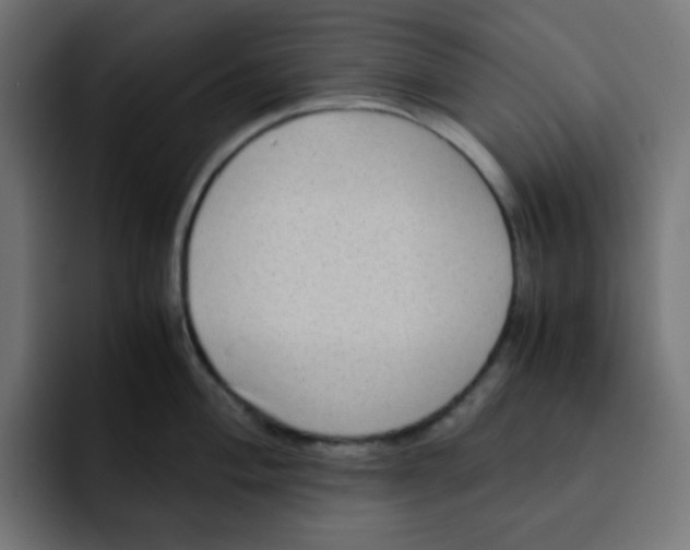 X0000092021004200710041040