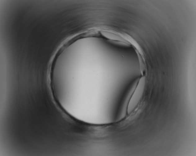 X0000092021005200710041040