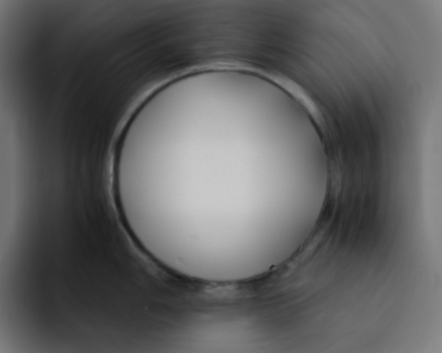 X0000092021006200710041040