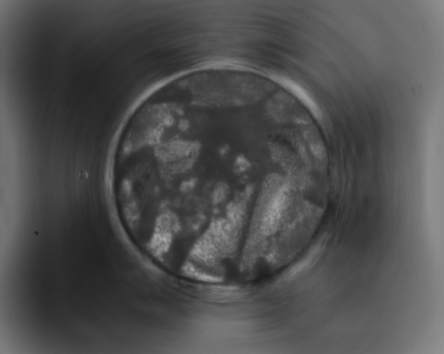 X0000092021007200710041040