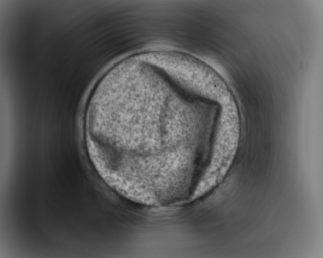 X0000092021008200710041040