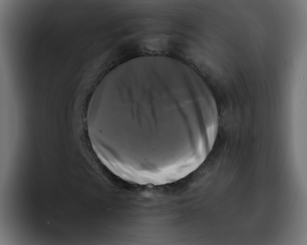 X0000092021009200710041039