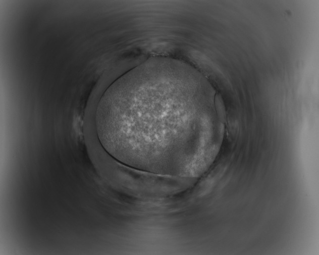 X0000092021010200710041039