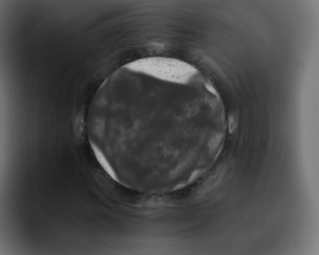 X0000092021011200710041039