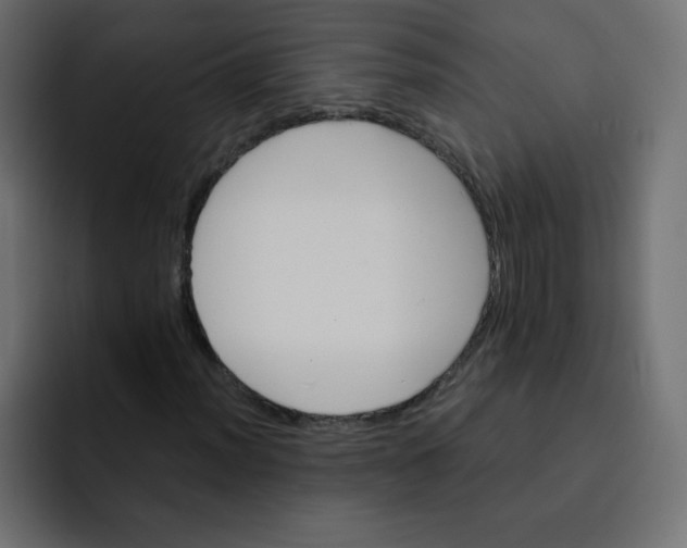 X0000092021012200710041039