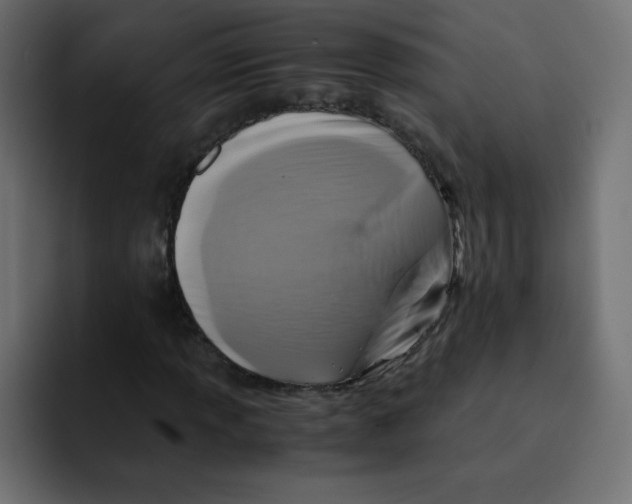 X0000092021013200710041039