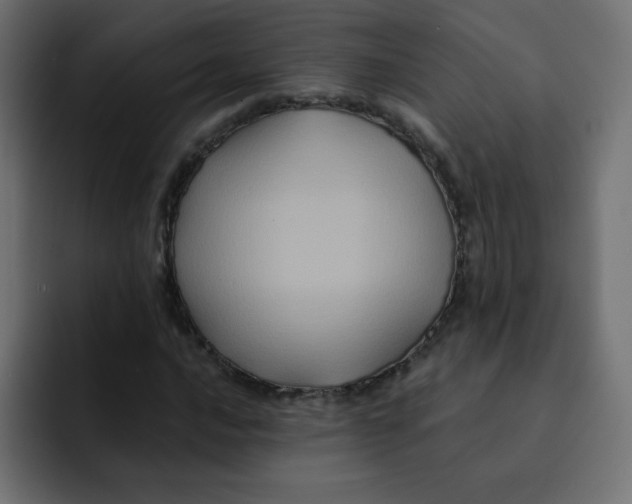 X0000092021016200710041039