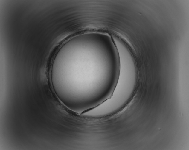 X0000092021018200710041040