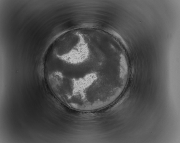 X0000092021019200710041040