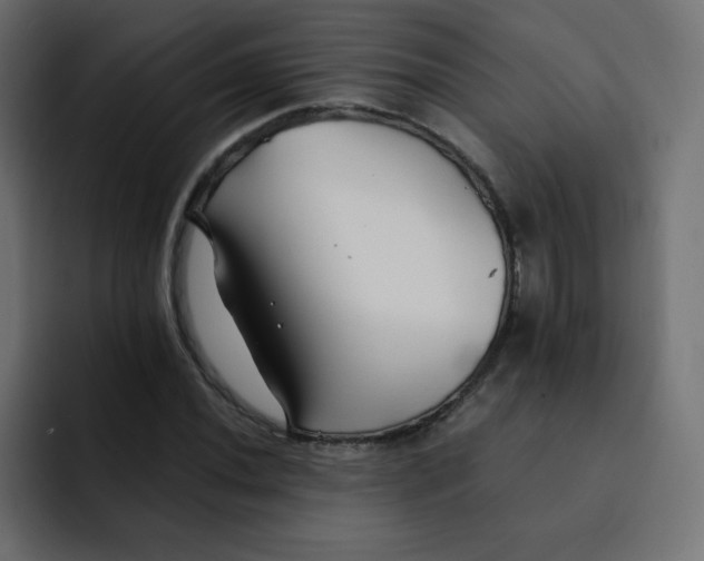 X0000092021020200710041040