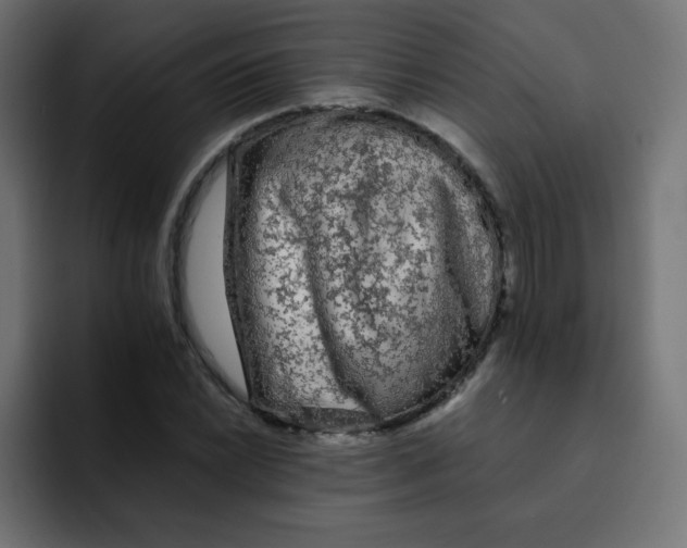 X0000092021022200710041040