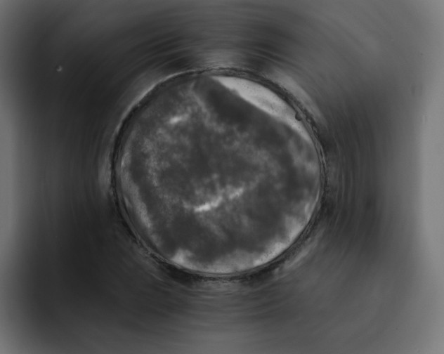 X0000092021023200710041040