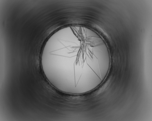 X0000092021025200710041040