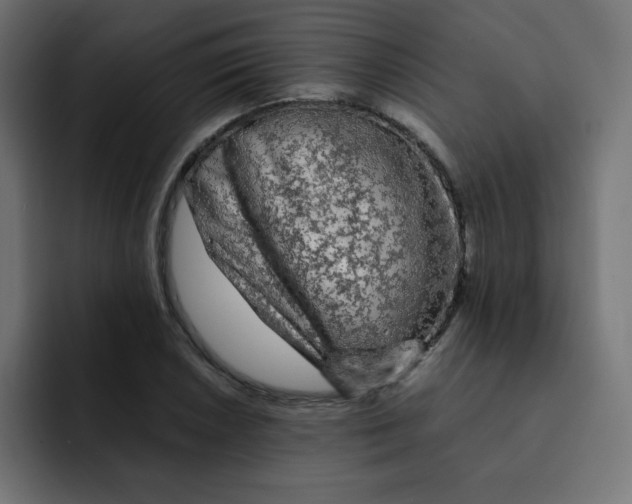 X0000092021026200710041040