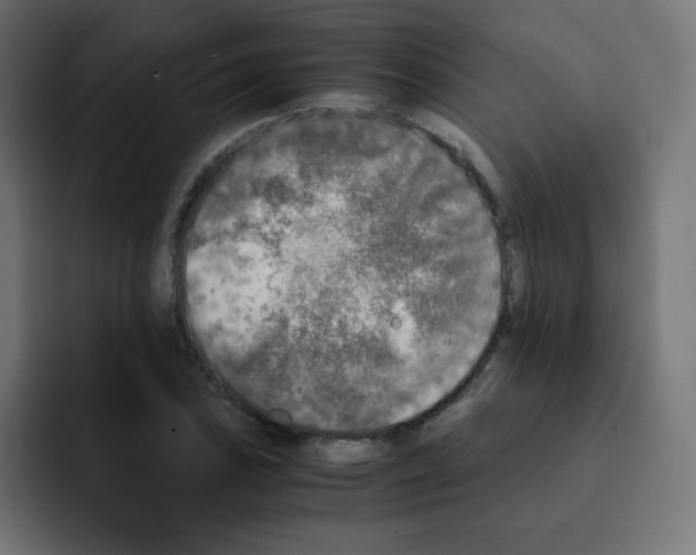 X0000092021027200710041040