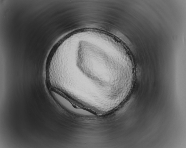 X0000092021028200710041040