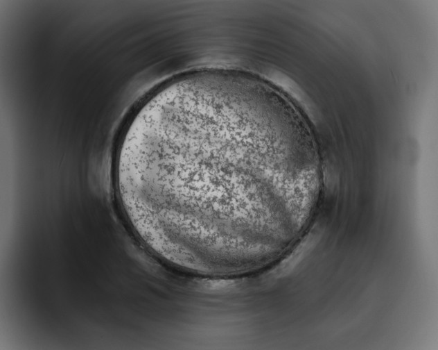 X0000092021030200710041040