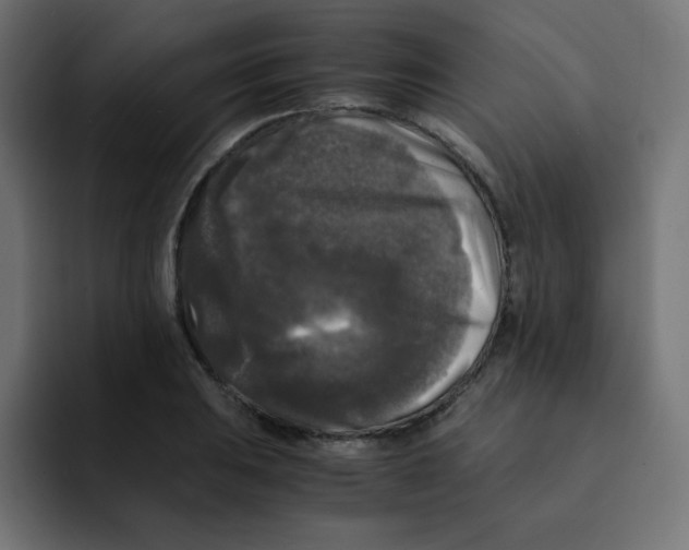 X0000092021031200710041040