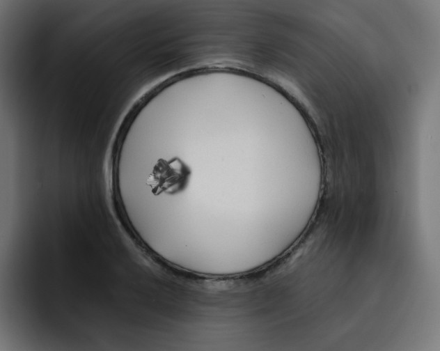 X0000092021032200710041040