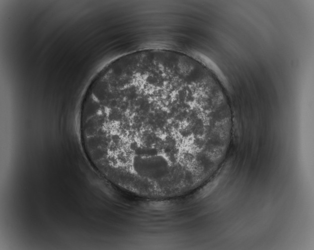 X0000092021035200710041040