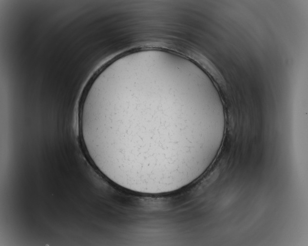 X0000092021036200710041040