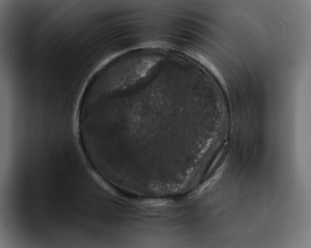 X0000092021037200710041040