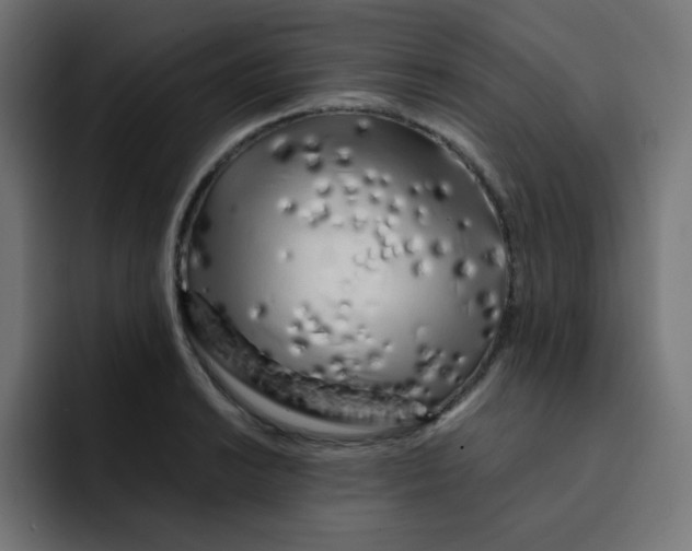 X0000092021038200710041040