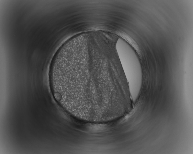 X0000092021039200710041040