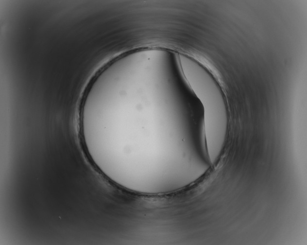 X0000092021040200710041040