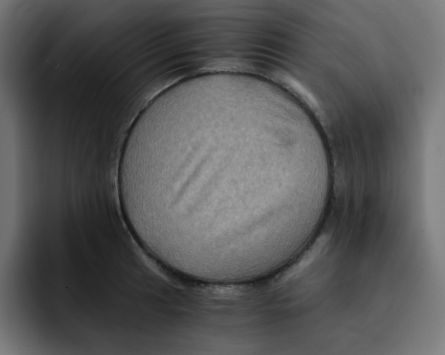 X0000092021041200710041040