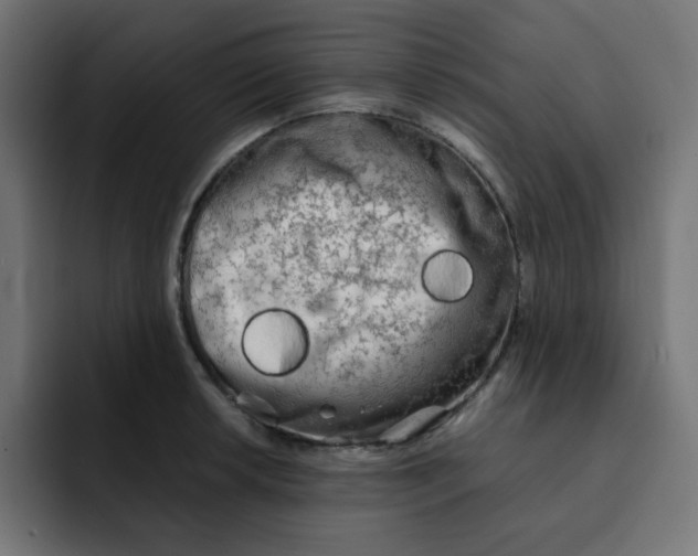 X0000092021042200710041040