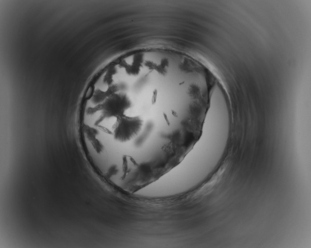 X0000092021045200710041040