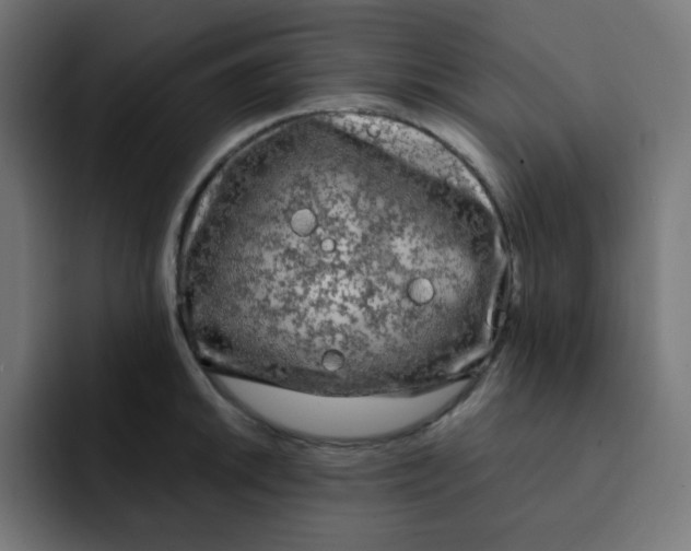 X0000092021046200710041040