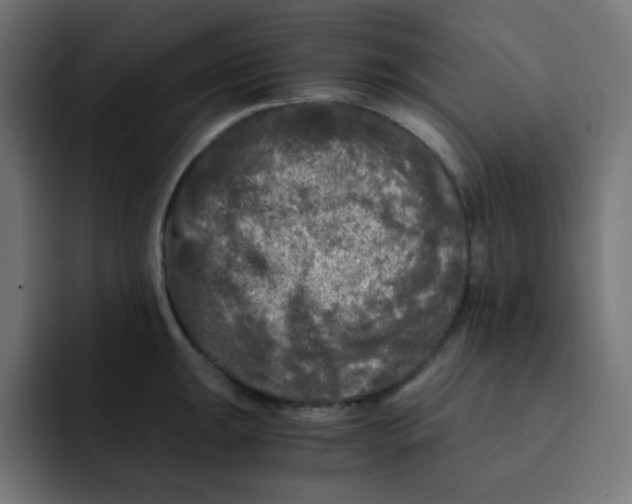 X0000092021047200710041040