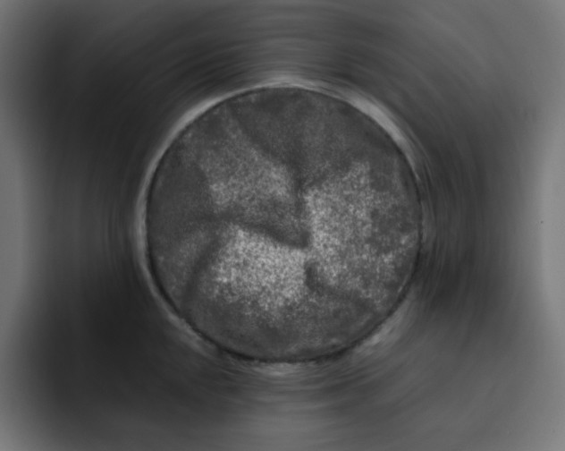 X0000092021048200710041040