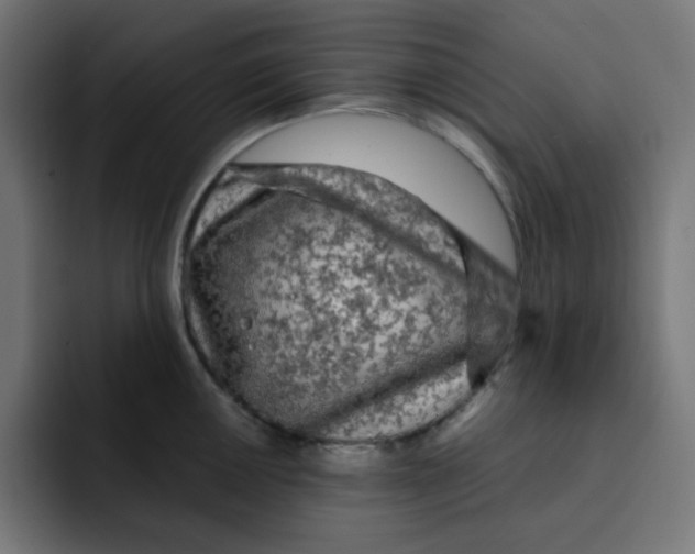 X0000092021050200710041040