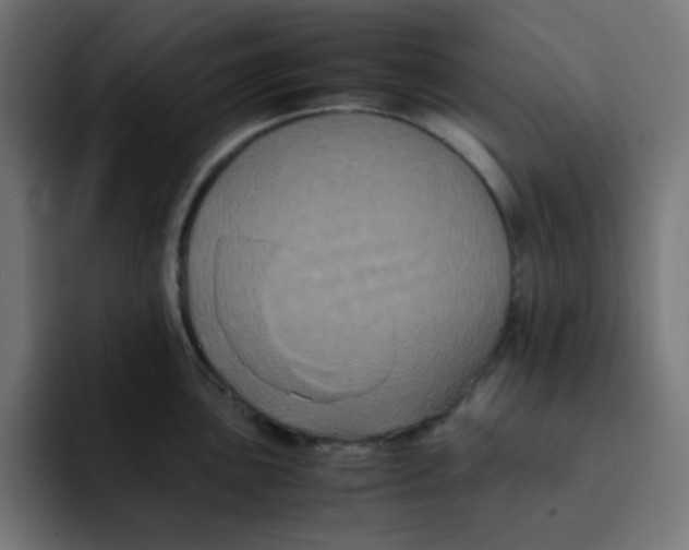 X0000092021051200710041040