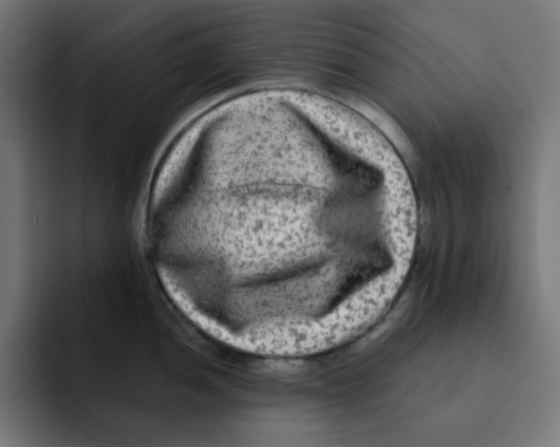 X0000092021052200710041040