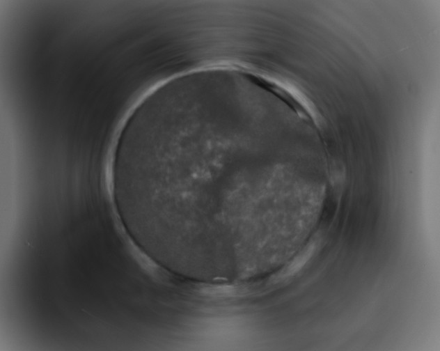 X0000092021054200710041040