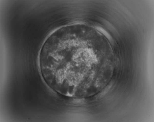 X0000092021055200710041040