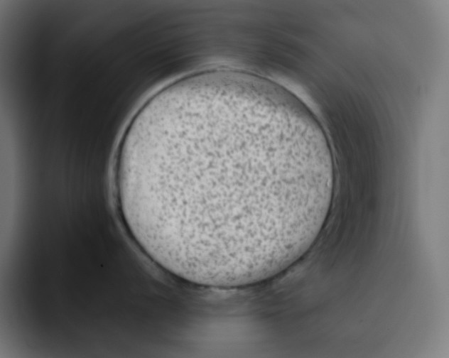 X0000092021056200710041040