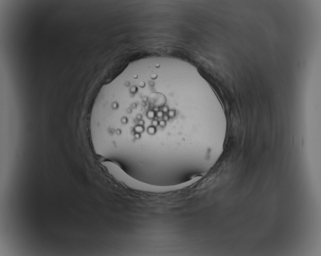 X0000092021057200710041039