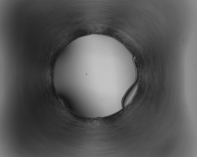 X0000092021058200710041039