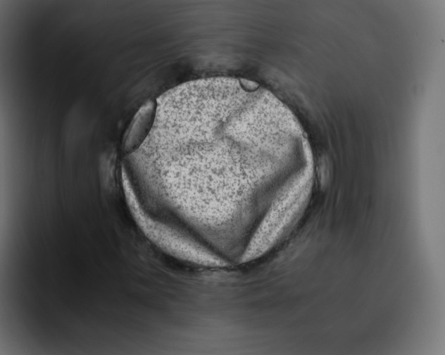 X0000092021059200710041039