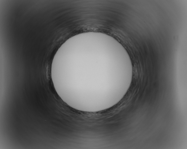 X0000092021060200710041039