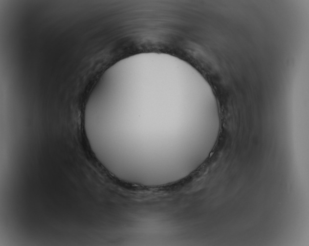 X0000092021061200710041039