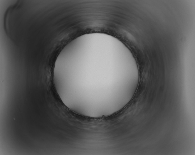 X0000092021062200710041039